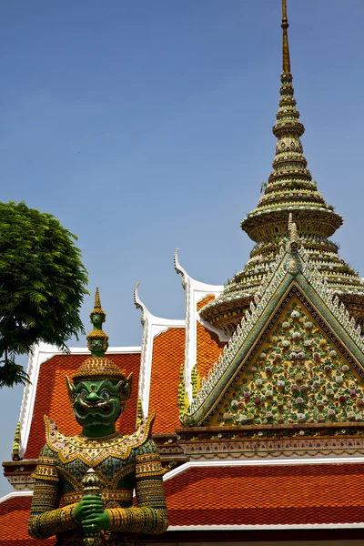 Asien thailand in bangkok sonnige pflanze — Stockfoto