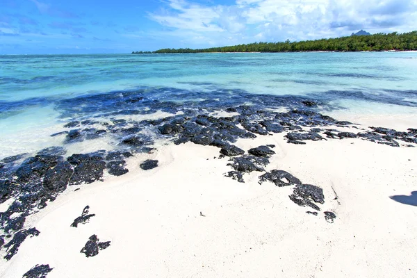 Praia ile du cerfs algas marinhas no oceano indiano mauritius — Fotografia de Stock