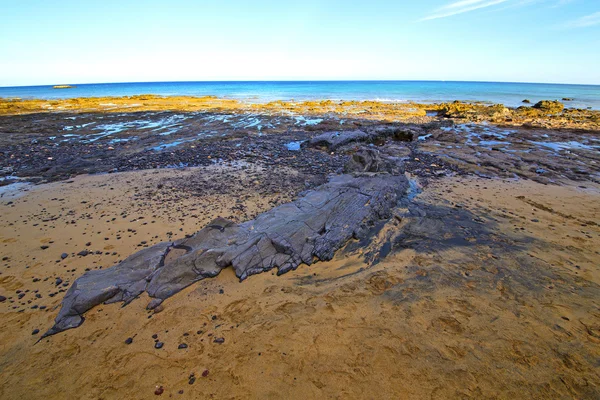 白色兰萨罗特岛在西班牙海滩石水和夏天 — 图库照片