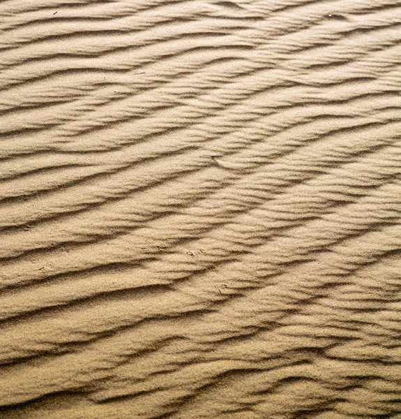 Die braune sanddüne in der sahara marokko wüste — Stockfoto