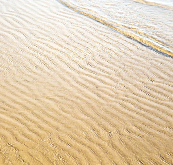 Diuna Maroko w afryka brązowy linia brzegowa mokry piasek plaży w pobliżu atlan — Zdjęcie stockowe