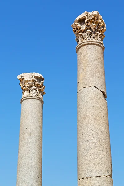 Kolumn i gamla tempel och — Stockfoto