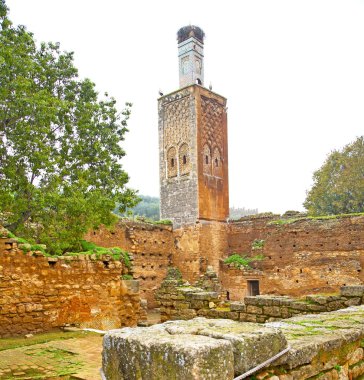 Chellah Fas Afrika eski Roma anıt bozulan bir