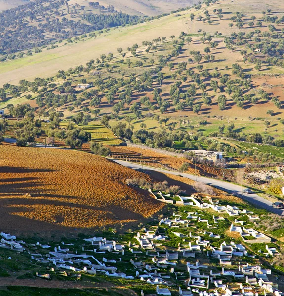 Von hoch oben im Dorf Marokko Afrika Feld und Bauten — Stockfoto
