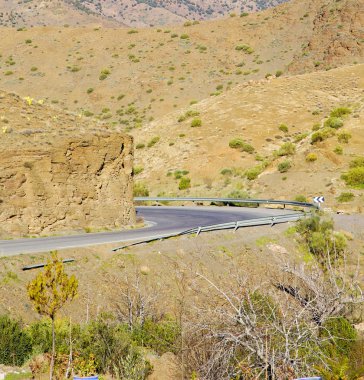 içinde zemin Afrika Fas bush kuru atlas dağ