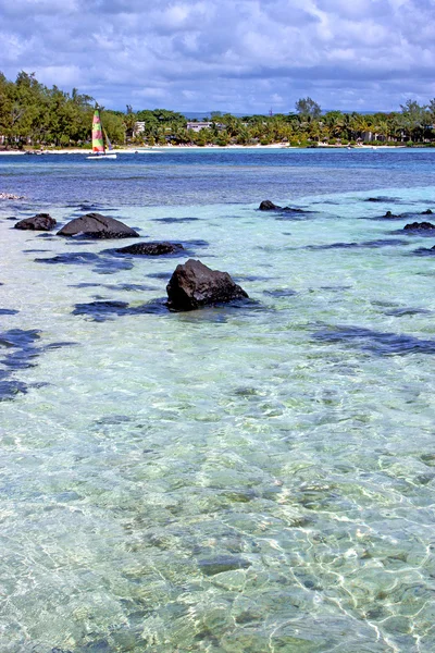 Lagoon beach tång i människor — Stockfoto