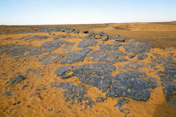 Viejo fósil en el desierto de piedra de roca de morocco — Foto de Stock