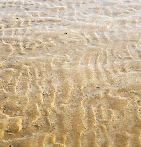 Dune Marocko i Afrika brun kusten våt sand beach nära atlan — Stockfoto