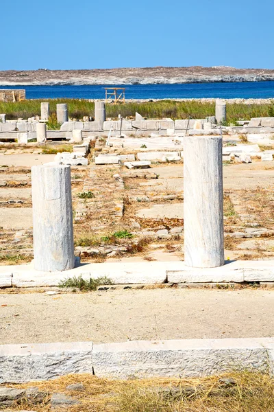 Arbusto em delos grécia a acrópole histórica — Fotografia de Stock