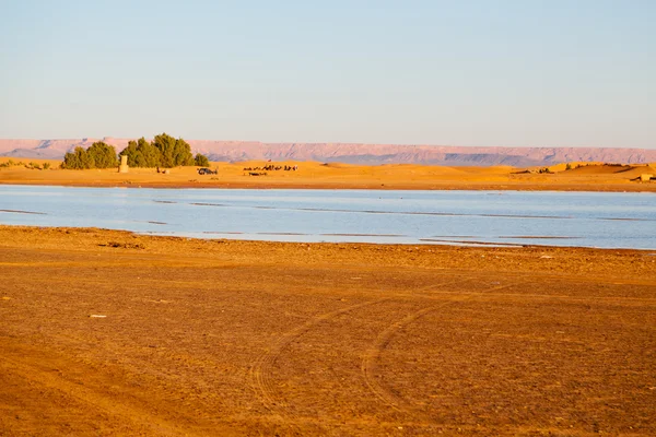 湖の黄色い砂と砂丘の日差し — ストック写真