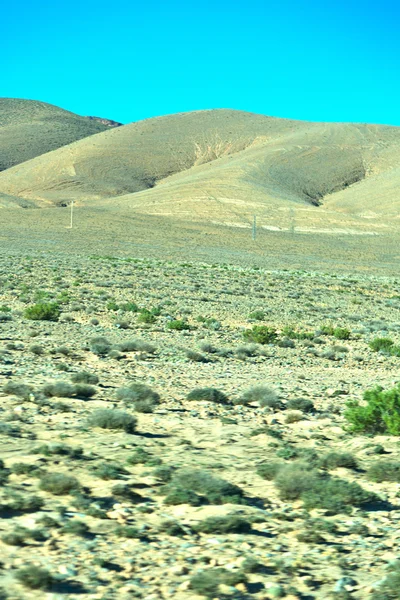 Brune dans la vallée marocaine afrique le — Photo