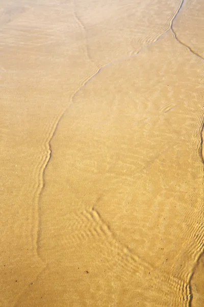 Marocko i Afrika brun kustlinje våt sand beach — Stockfoto