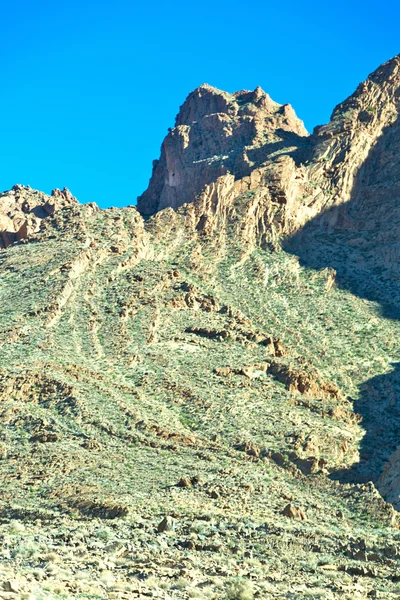 Hnědý bush v údolí Maroku atlas suchá Hora — Stock fotografie