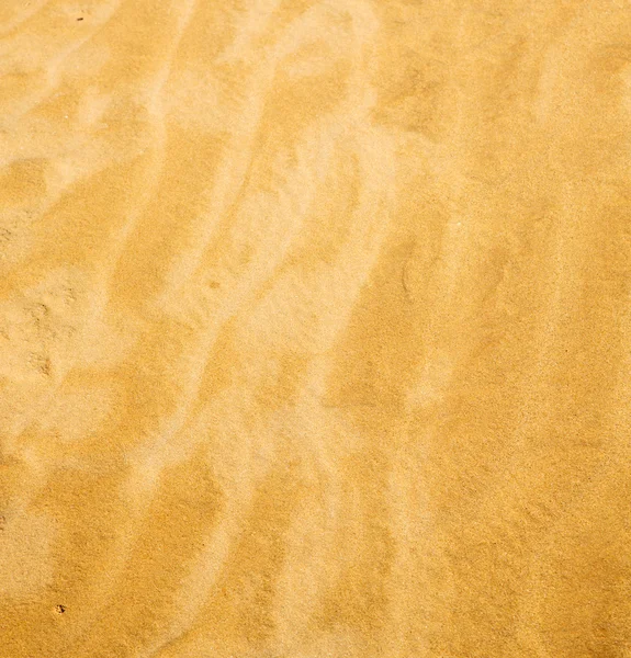 The brown sand dune in the sahara morocco desert — Stock Photo, Image