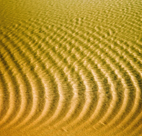 아프리카 사하라 모로코 사막 라인에 갈색 모래 언덕 — 스톡 사진
