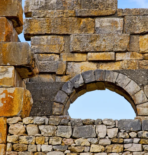 Volubilis στο Μαρόκο Αφρικής το παλιό ρωμαϊκό μνημείο επιδεινώθηκε — Φωτογραφία Αρχείου