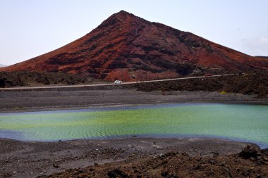 Araba sokak insanlar taş Atlantik Okyanusu köpek  