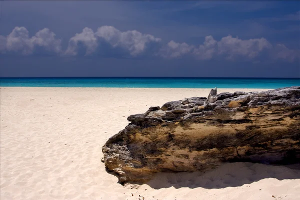 Light beach mexico  coastline rock     summer — Stock Photo, Image