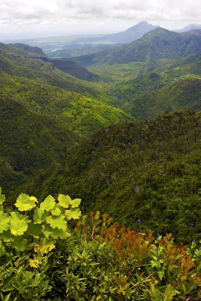 Montanha de rio preto em mauritius — Fotografia de Stock