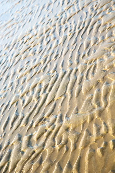 Dune morocco in africa brown coastline blue — Stock Photo, Image