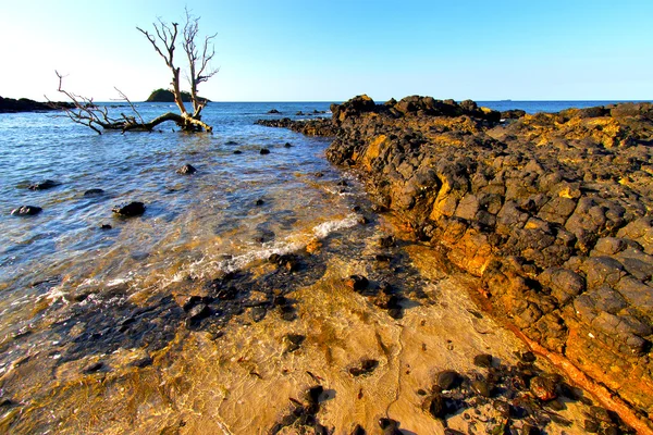 Wodorostów w Madagaskar na Oceanie Indyjskim — Zdjęcie stockowe