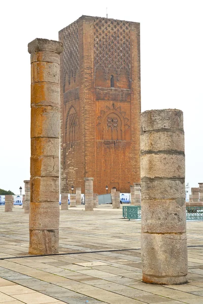 The   chellah  in morocco africa  old roman — Stock Photo, Image