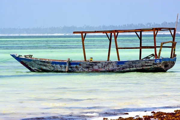 Pláže Zanzibaru řas láska — Stock fotografie