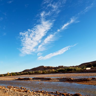 soyut renkler ve bulanık arkaplan