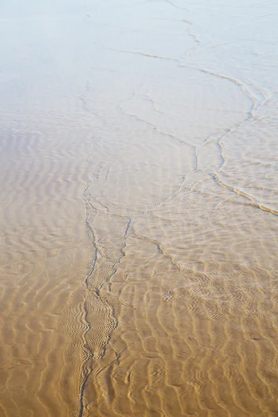 Morocco na praia da áfrica perto do oceano atlântico — Fotografia de Stock