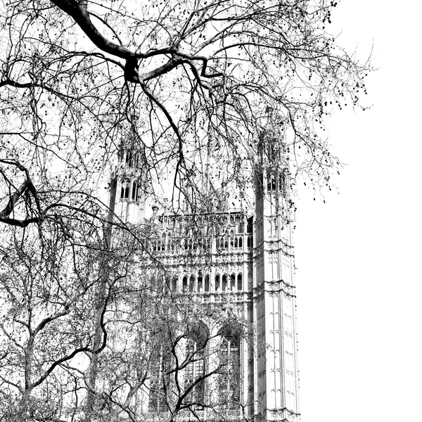 In Londen oude historische Parlement glazen venster structur — Stockfoto