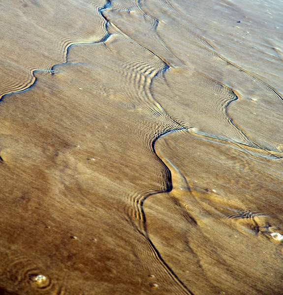 Dune marocain en afrique côte marron plage de sable humide près atlan — Photo