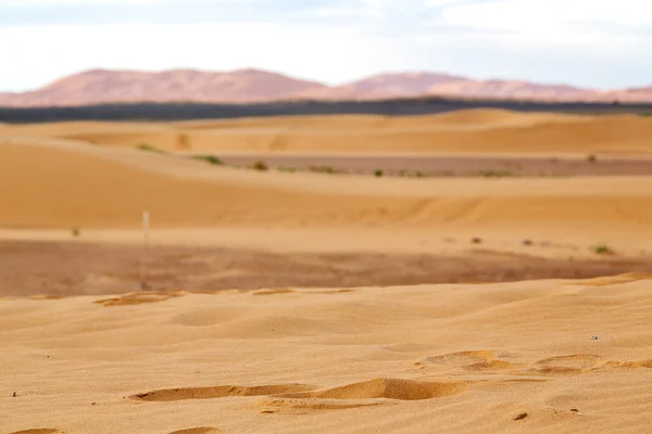 De oude fossiele berg in de woestijn van hemel — Stockfoto