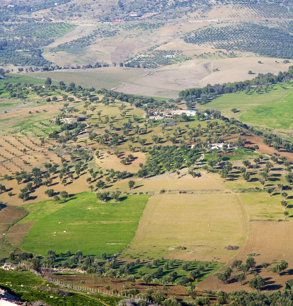 Desde lo alto en el campo pueblo morocco africa y construcciones — Foto de Stock