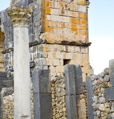 Volubilis Fas Afrika eski Roma bozulan anıt 