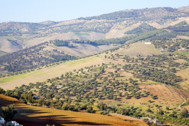 Afrika alan ve konstrüksiyon yüksek