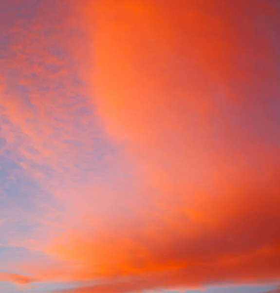 Sunrise in the colored sky white soft clouds and abstract backgr — Stock Photo, Image