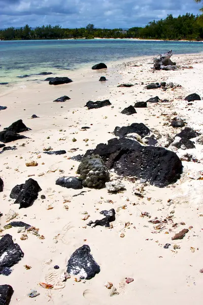 Baai schuim voetstap Indische Oceaan — Stockfoto