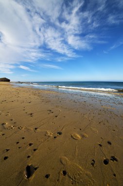 ayak sesi misk gölet csummer 