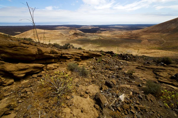 Timanfaya niebo hill i letnich Hiszpania roślin kwiat Busha — Zdjęcie stockowe