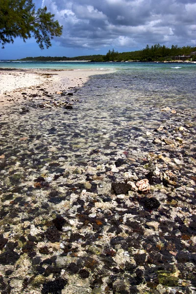 Blå foam fotsteg ön av deus cocos i mauritius — Stockfoto