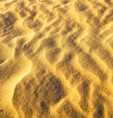 sahara çöl Fas Afrika erozyon ve abstr kahverengi kuru kum