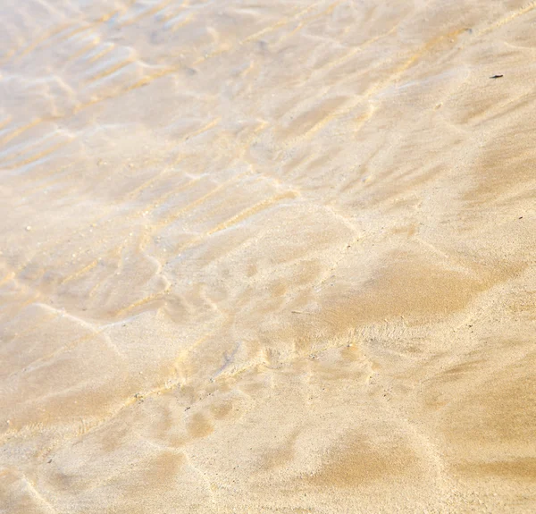 Duin Marokko in Afrika bruin kustlijn natte zand strand in de buurt van atlan — Stockfoto