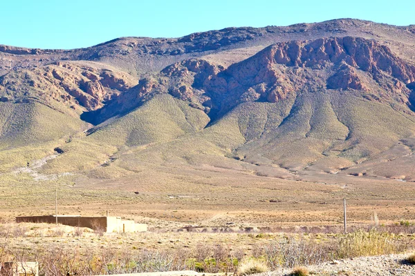 Bush  in    valley  morocco     africa the atlas mountain — Stock Photo, Image