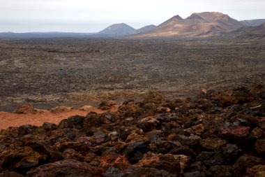 Bush timanfaya los volcanes volkanik içinde  