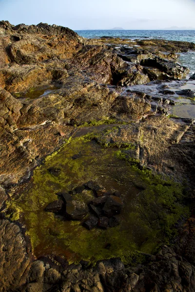 Spanje muskus rock steen water zomer in lanzarote — Stockfoto