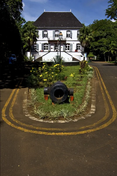 Zanzíbar mahebourg museo naval flor — Foto de Stock