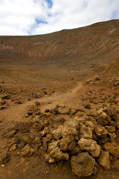 木植物布什帝曼法雅火山岩石石头天空兰萨罗特岛 — 图库照片