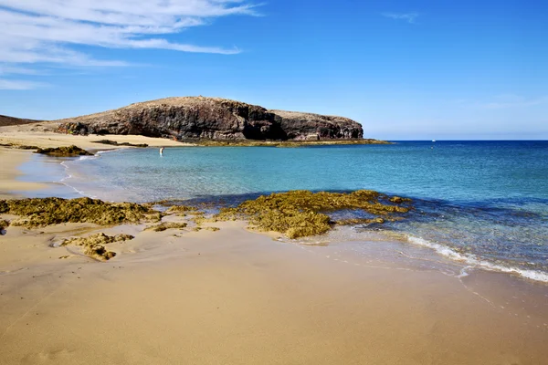 People water in lanzarote  spain pond  rock    musk  and summer — Stock Photo, Image