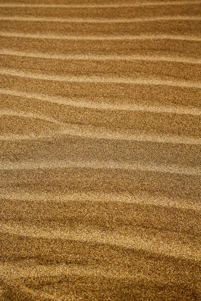 Dans lanzarote espagne texture abstrait sable sec et la plage — Photo