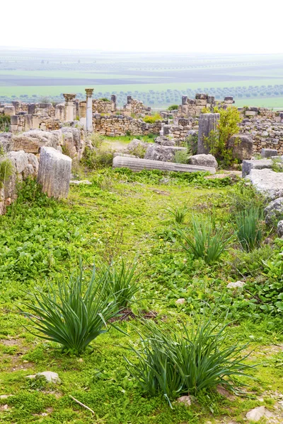 Volubilis Марокко Африки старі римські погіршення пам'ятника — стокове фото